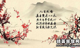 简爱读书笔记经典语录摘抄及感悟赏析