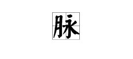 迈组词，迈组词组词语
