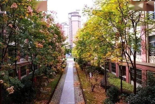 秋登宣城谢脁北楼唐李白，秋登宣城谢脁北楼李白拼音版