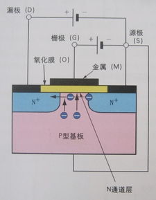 feed是什么意思