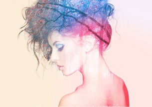 长春新科展计算机学校贴吧，长春新科展怎么样