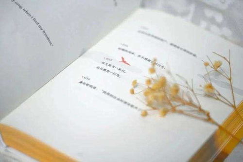 汉赋名句加出处，汉赋名句欣赏及翻译