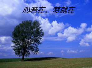 怀揣是什么意思