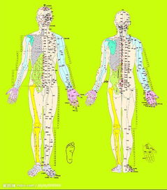 经脉不通的症状和表现，经脉图全图