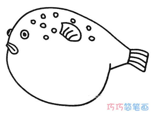画简笔鱼怎么画