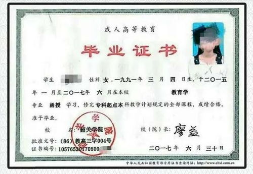 本科是什么学历啊