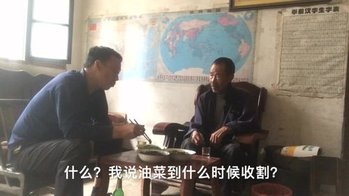 1982年出生的今年多大了