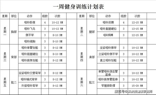 运动计划怎么写，运动计划软件