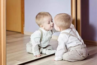 自言自语的拼音和意思，言外之意的意思