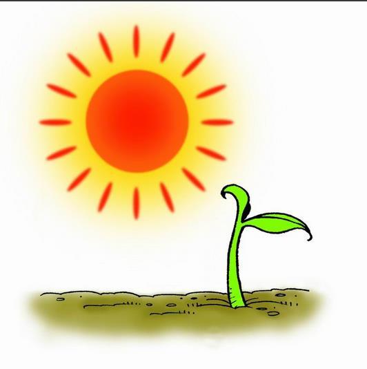 种子的拼音怎么写的拼音，种子的拼音怎么写?怎么组词?