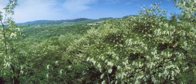永寿天气预报7天，西安永寿天气