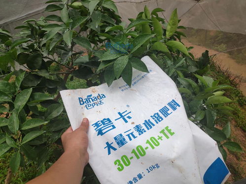 氮肥是什么样子的图片，硝态氮肥是什么