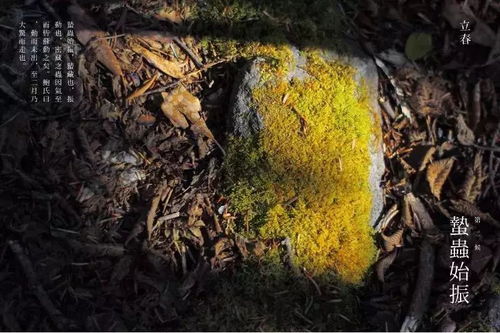 简卢陟是什么意思，陟罚臧否的陟是什么意思