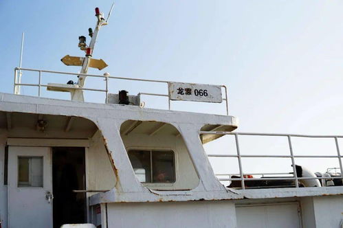 渡船是什么意思