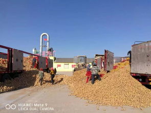 大署节气介绍，大署诗词