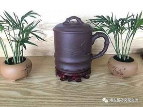 黄曲霉毒素代谢活化是什么意思?