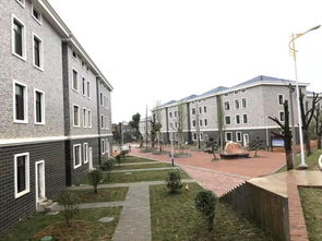 桃李村位于哪个省哪个市