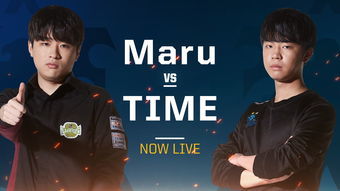 比姐夫略胜一筹的意思，略胜一筹的意思打一生肖