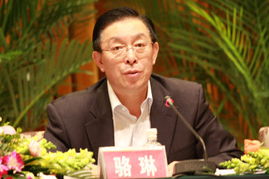 幕后之王骆琳原型是谁