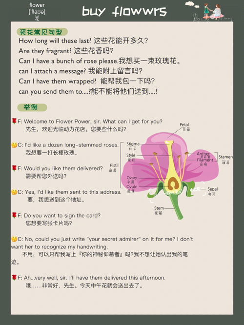 8的英语单词拼写，草的英语单词怎么写