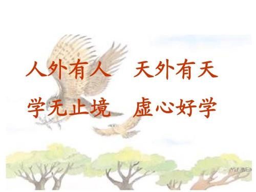 人外是啥，人外什么什么