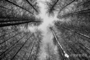 不稼不穑的意思，不稼不穑,胡取禾三百廛兮?不狩不猎,胡瞻尔庭有县貆兮?