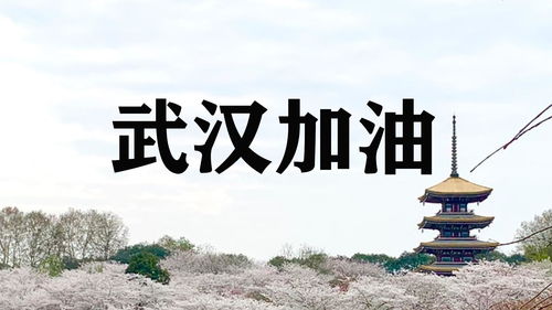 鼓励别人加油的暖心话短句