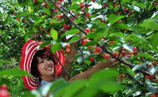 踩可以组什么词，采可以组什么词语有哪些词语