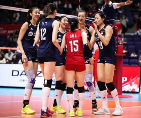 中国女排精神内涵是什么，中国女排精神心得体会