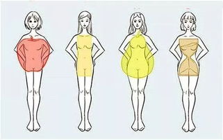 描写人的身材的词语有哪些?