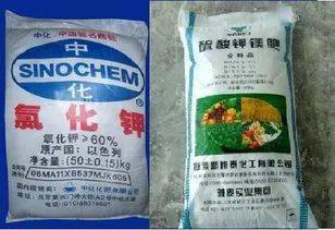 氮肥是什么肥