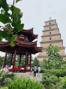 西北望长安什么梗?