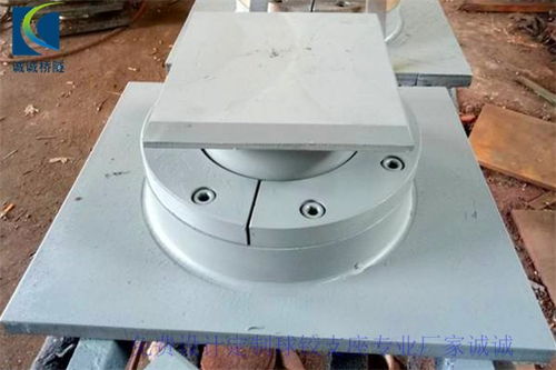 铰支座按自由度不同分为哪两种形式