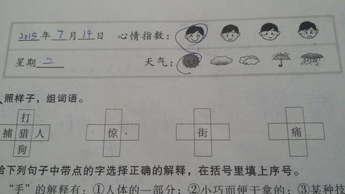 托组词有哪些词语