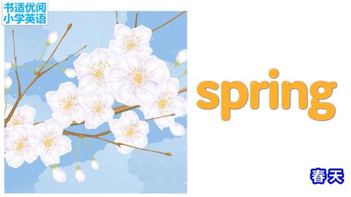 春夏秋冬的英文怎么说，春夏秋冬的英文读法