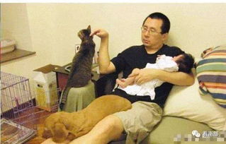 半大不小造句，半大不小是成语吗