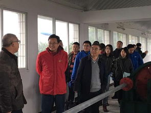 杜家台分蓄洪区补偿标准，杜家台分洪闸