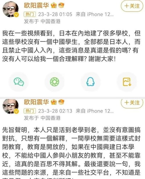 大V是什么意思啊?