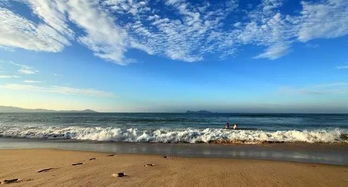 海龟湾介绍海龟湾的海龟