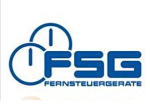 什么是FSG报表?