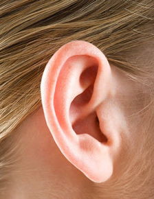 上边一个大,下边一个耳怎么读?什么意思?