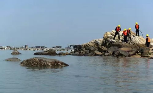 老海是什么意思，老海军