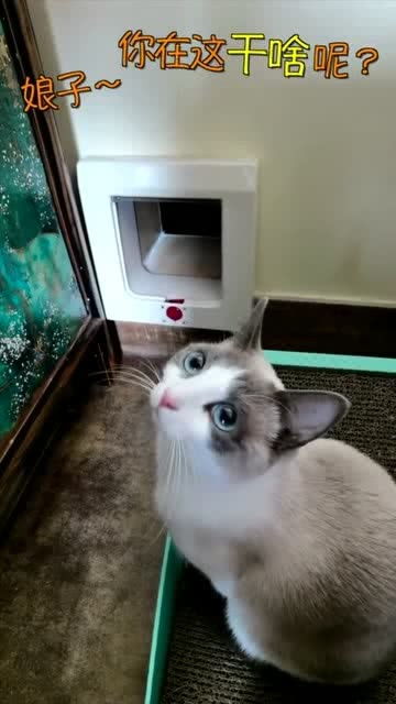 危险品黑货有哪些