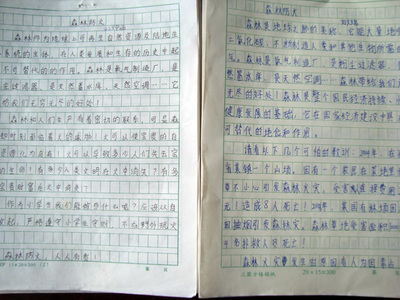 高一作文900字:森林防火,人人有责