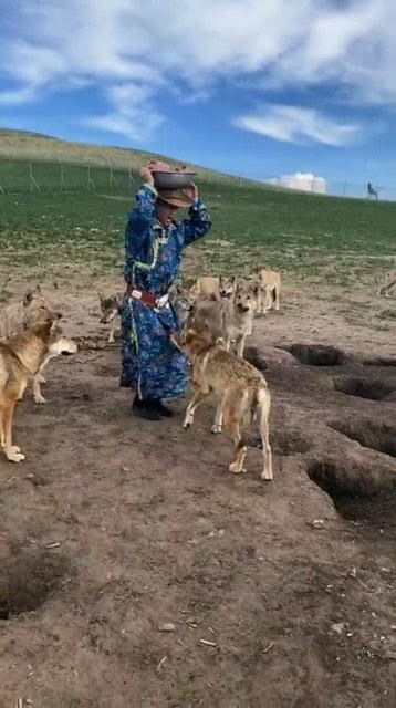 引狼入室的意思