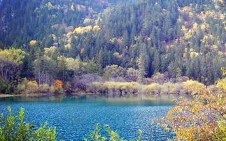 《秋池》深度解析:痴念尚在,悟道何处?