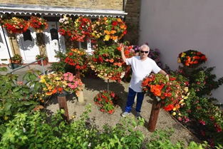 我的花匠是哪里的品牌，我的花匠和ubras哪个好