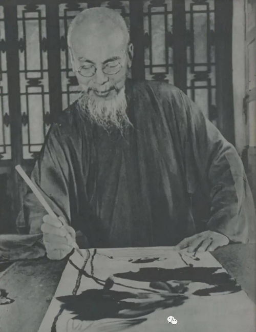 忆白石老人重点句赏析