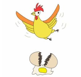 什么飞蛋打填动物名，什么目寸光
