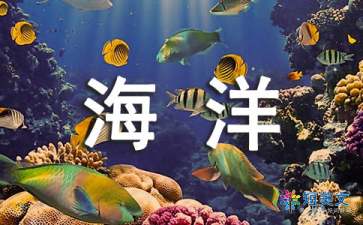 走向海洋读后感800字，走向海洋读后感万字